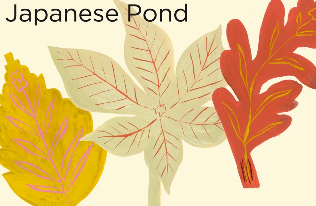 澄み渡る池と金魚、そして落ち葉。(Japanese Pond コレクション)