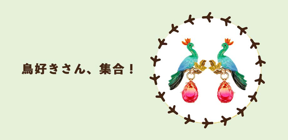 鳥好きさん、集合!!