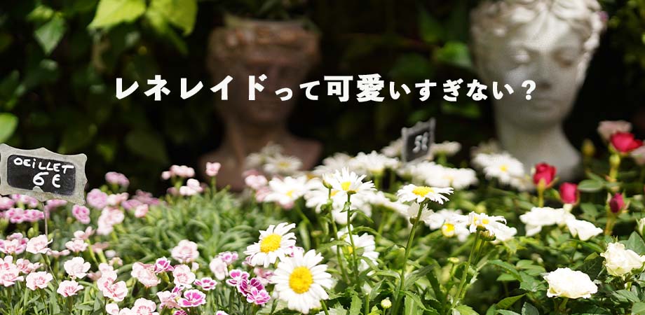 レネレイドって可愛すぎない? パリは好きにつけてくれって言ってます!